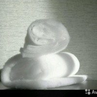 2970375142